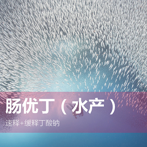 腸優(yōu)?。ㄋa(chǎn)）